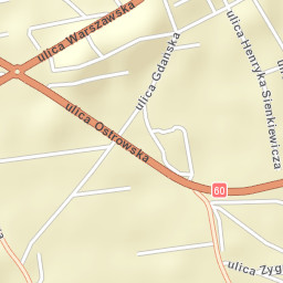 Różan Street Map