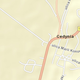 Cedynia Street Map