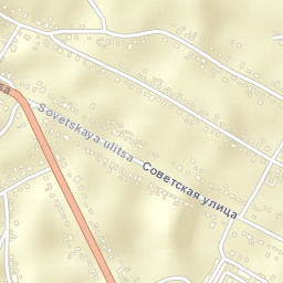 Zavoronezhskoye Street Map