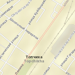 Topchikha Street Map