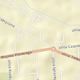 Rogoźno Street Map