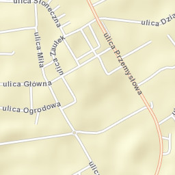 Janikowo Street Map