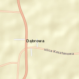 Dąbrowa Street Map