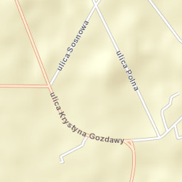 Gozdowo Street Map