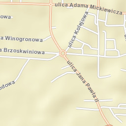 Pułtusk Street Map
