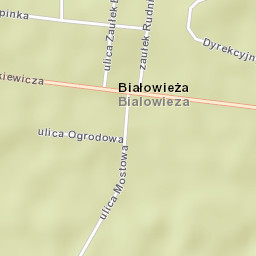 Białowieża Street Map