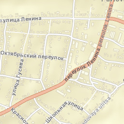 Pavlovka Street Map