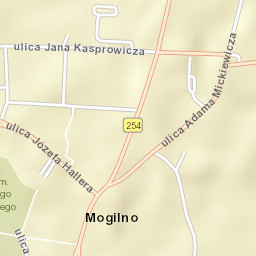Mogilno Street Map
