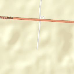 Dzierzążnia Street Map