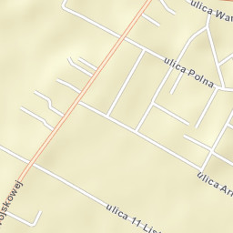 Nasielsk Street Map