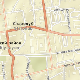 Starodub Street Map
