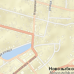 Novozybkov Street Map