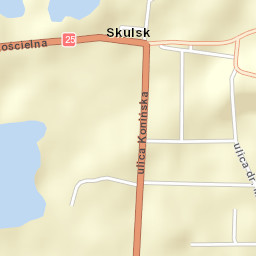 Skulsk Street Map