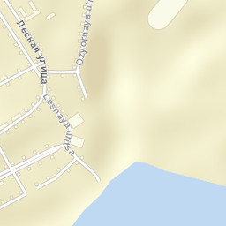 Lesnoye Street Map