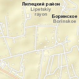 Borinskoye Street Map