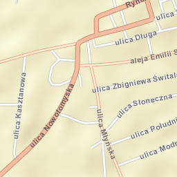 Lwówek Street Map