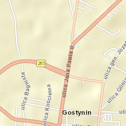 Gostynin Street Map