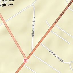 Michałów-Reginów Street Map