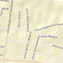 Swarzędz Street Map