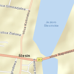 Ślesin Street Map