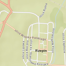 Rzepin Street Map