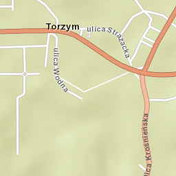 Torzym Street Map