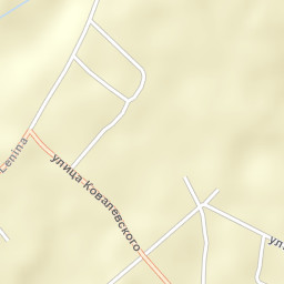 Novyy Ropsk Street Map