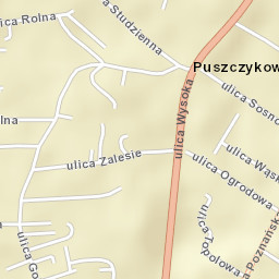 Puszczykowo Street Map