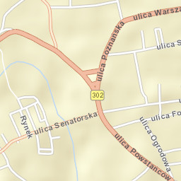 Zbąszyń Street Map