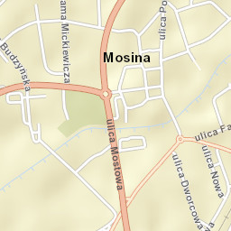 Mosina Street Map