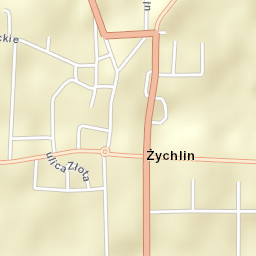 Żychlin Street Map