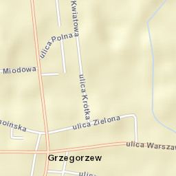 Grzegorzew Street Map