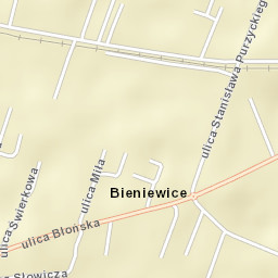 Bieniewice Street Map