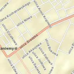 Zaniemyśl Street Map
