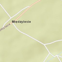 Międzylesie Street Map