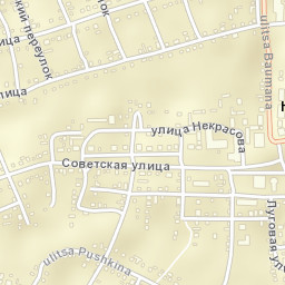 Novyye Burasy Street Map