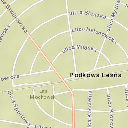 Podkowa Leśna Street Map