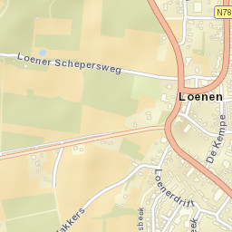 Loenen Street Map