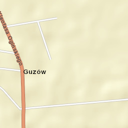 Guzów Street Map