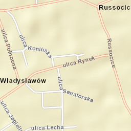 Władysławów Street Map