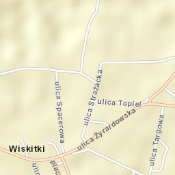 Wiskitki Street Map