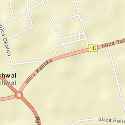 Rychwał Street Map