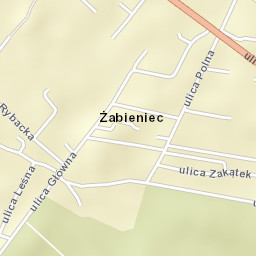 Żabieniec Street Map