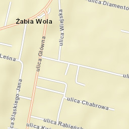 Żabia Wola Street Map