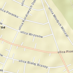 Zalesie Górne Street Map