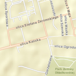 Turek Street Map