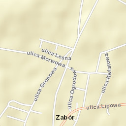 Zabór Street Map