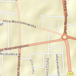 Skierniewice Street Map