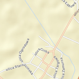 Stawiszyn Street Map