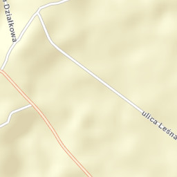 Powiat zgierski Street Map